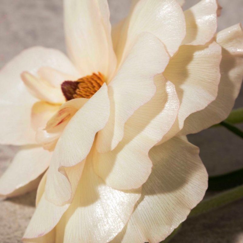 Burberry Her, 100 ml (Tester)