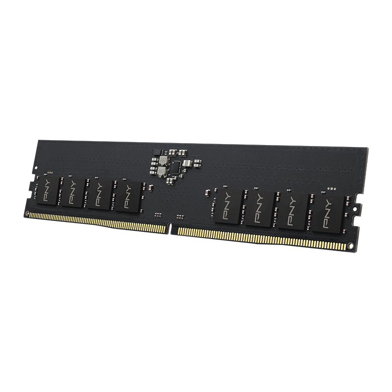 PNY MD8GSD54800-TB module de mémoire 8 Go 1 x 8 Go DDR5 ECC