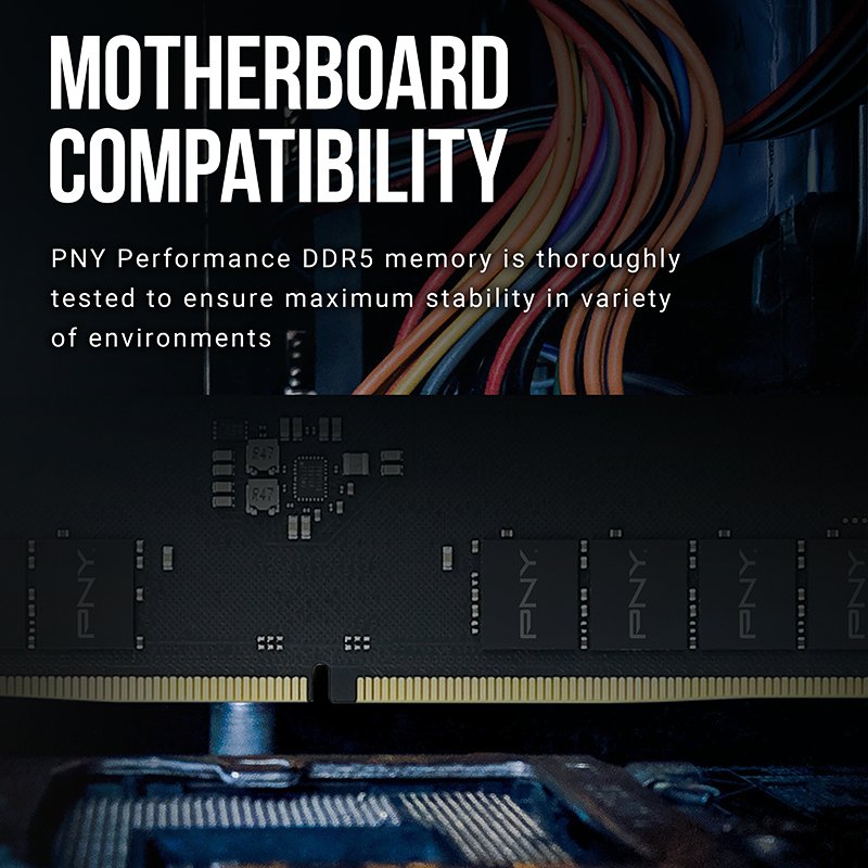 PNY MD8GSD54800-TB module de mémoire 8 Go 1 x 8 Go DDR5 ECC