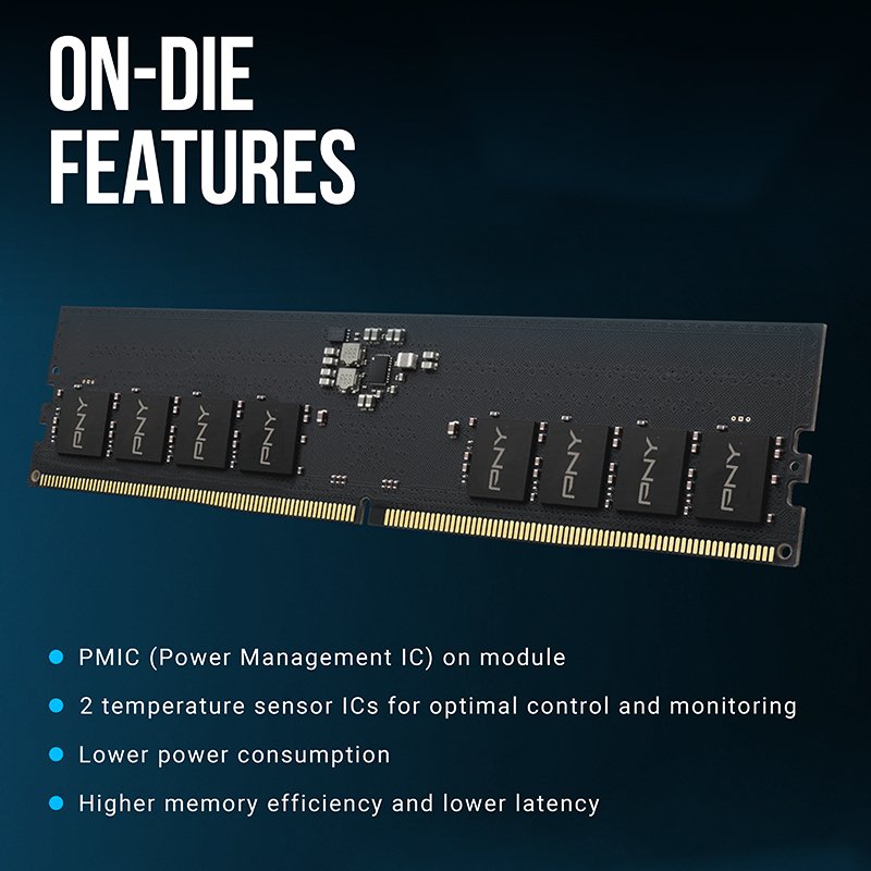 PNY MD8GSD54800-TB module de mémoire 8 Go 1 x 8 Go DDR5 ECC