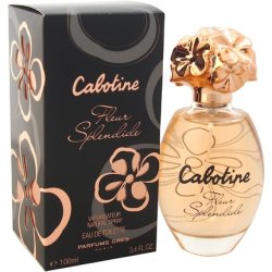 Parfums Gres Cabotine Fleur Splendide EDT Spray 100ml