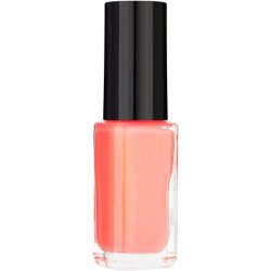 L'Oreal Paris Infallible Nail Polish Fight for Orange 42 5ml