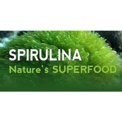 Swanson Spirulina Blue Green Algae 500mg 360 Tablets