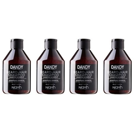 Dandy Beard And Hair Herbal Shampoo For Men With Argan Oil - 300ml - Pack Of 4