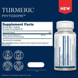 Solaray Prosorb Turmeric Supplement Phytosome 500mg