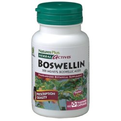 Natures Pl Ft- Boswellin 300 Mg 60 Cap