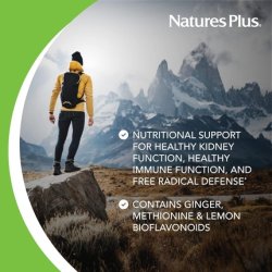 NaturesPlus AgeLoss Kidney Support 90 Tablets with Vitamin D3 and Magnesium Vegetarian Gluten Free 30 Servings