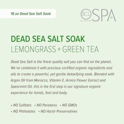 Bcl Spa Lemongrass & Green Tea 4-Step Skincare Starter Kit 16oz