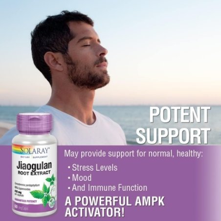 Solaray Jiaogulan 820mg 60 VegCaps 410mg