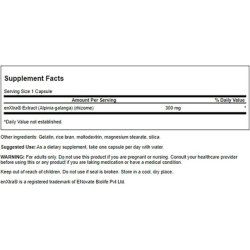 Swanson Focused Attention Galangal Root Alpinia Galanga 300mg