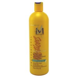 Motions Smooth & Straighten Shampoo 16 Ounce