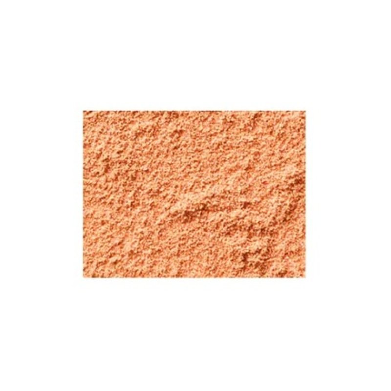 MAC Studio Fix Powder Plus Foundation NC45