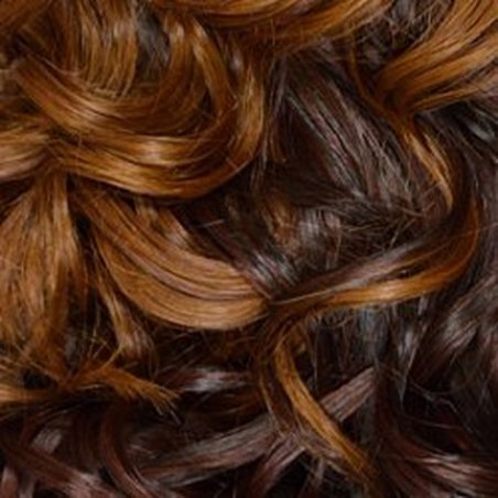 Isis Red Carpet Synthetic Lace Front Wig Monique F2/30/33