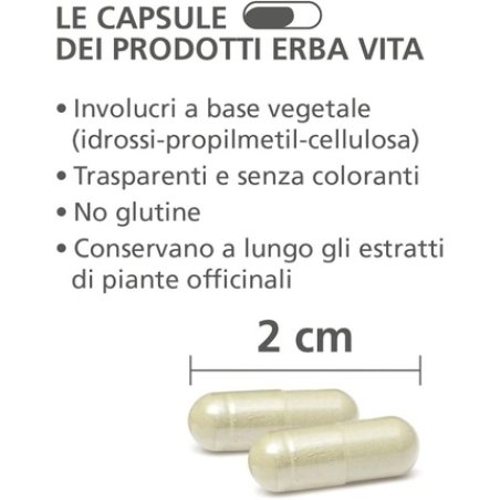 Erba Vita Milk Thistle Liver and Detox Function Supplement 60 Capsules