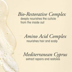 Oribe Gold Lust Collection