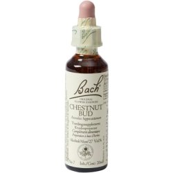 Bach Chestnut Bud 20ml