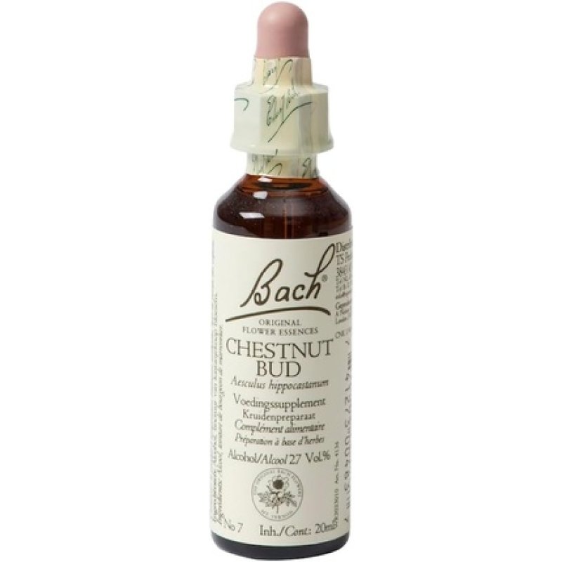 Bach Chestnut Bud 20ml