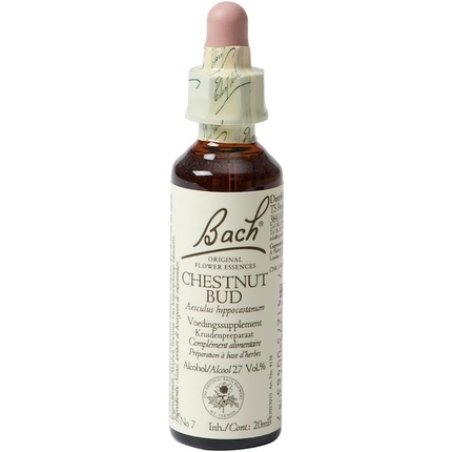 Bach Chestnut Bud 20ml