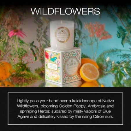 Voluspa Wildflowers Classic Boxed Candle 9.5 Ounce 60 Hour Burn Time Coconut