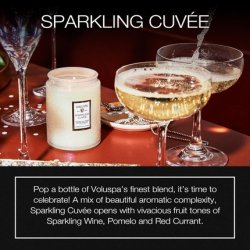 Voluspa Sparkling Cuvee Small Candle Jar 5.5 Oz 50 Hour Burn Time Coconut