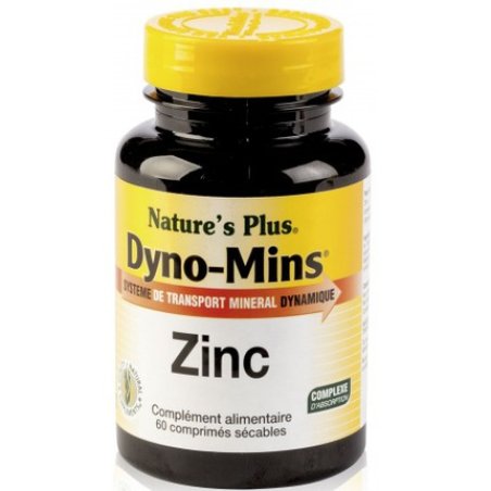Natures Pl Dyno Mins Zinc 15 Mg 90 Comp