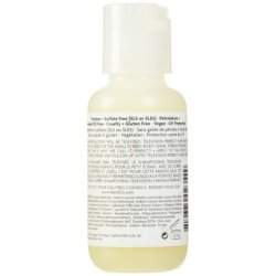 R Co Television Perfect Hair Shampoo Body Shine Smoothing for All Hair Types Vegan Cruelty-Free 2 Ounce