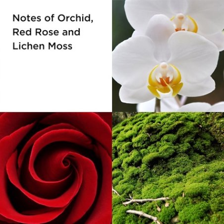 Elizabeth Arden Red Door Revealed Eau De Parfum Spray 100ml Floral Fragrance