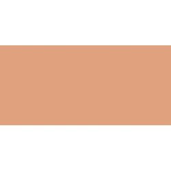 Liquid Corrector (Real Flawless Concealer) 5.4 ml Shade 2C1