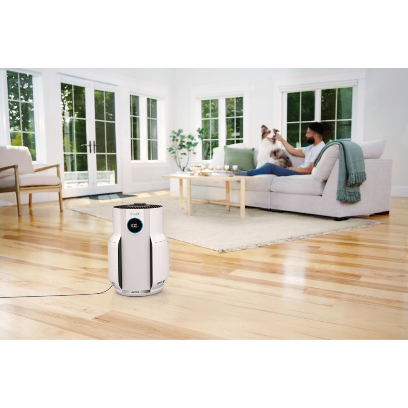 Shark NeverChange Air Purifier for up to 5 Years Living Spaces 60m² HEPA Filter Lasts 5 Years Captures 99.97%