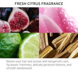 Fekkai Clean Stylers Spray Mist 50ml