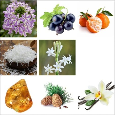 Fearless by Rachel Zoe Body Mist for Women Courageous and Bold 10 oz