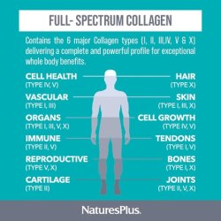 NaturesPlus Collagen Peptides Capsules Sustainable Hydrolyzed Collagen Supplement 120 Capsules