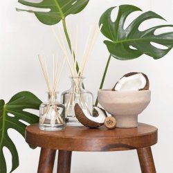 Castelbel Coconut Fragrance Diffuser 250ml