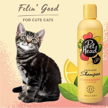Pet Head Cat Shampoo, Felin' Good Shampoo For Cats