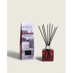 Maison Berger Paris 006170 diffuseur aromatique Flacon de parfum Verre Bleu, Rouge, Transparent