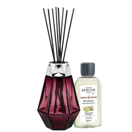 Maison Berger Paris Prisme aroma diffuser Fragrance bottle Glass Red