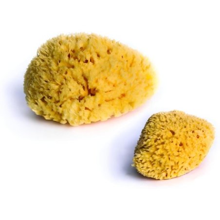 Dbb Remond Natural Sponge - Pack of 2