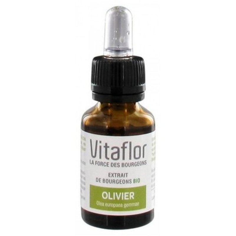 Vitaflor Organic Olive Tree Bud Extract Dietary Supplement 15ml