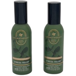 Bath & Body Works Stress Relief Eucalyptus Spearmint Concentrated Room Spray