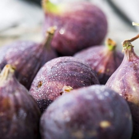 Arran Sense of Scotland Glen Rosa Body Lotion for Women 200ml 6.76floz