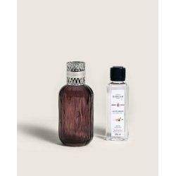 Maison Berger Paris 004803 aroma diffuser Fragrance bottle Glass Silver, Violet