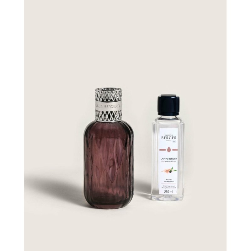 Maison Berger Paris 004803 aroma diffuser Fragrance bottle Glass Silver, Violet