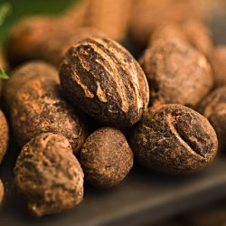 Cottage Shower Oil Extra Nourishing Shea 560ml