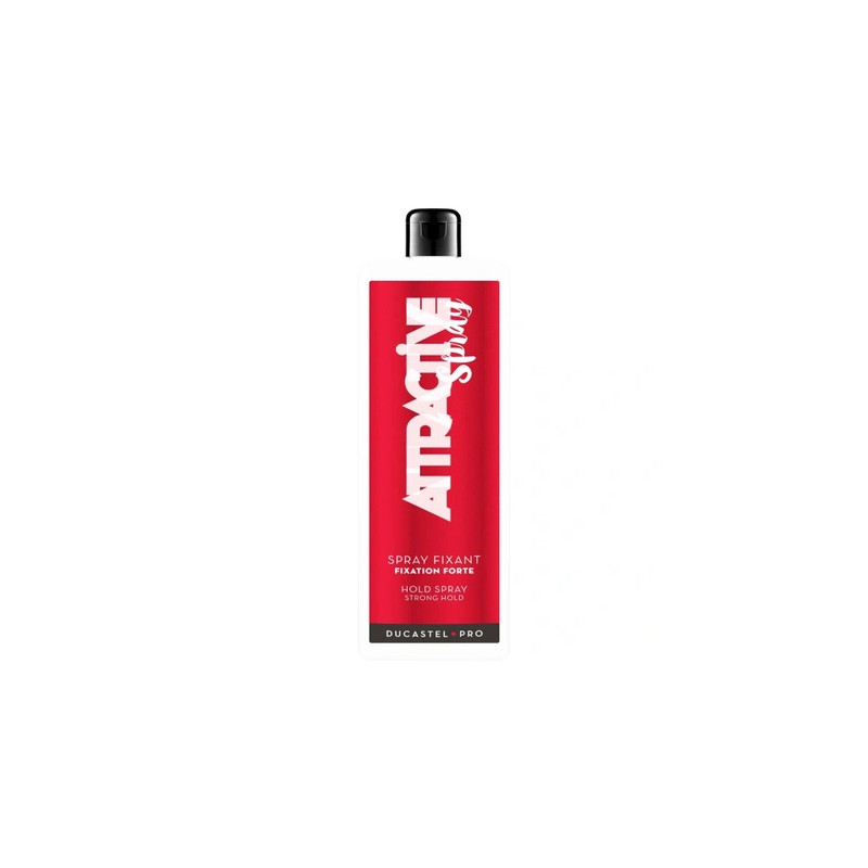 Ducastel Duc Attractive Spray Fixative 1l