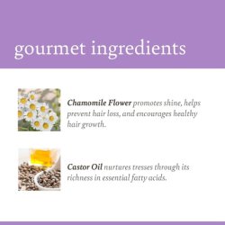 Camille Rose Lavender Edge Glaze 2 Oz