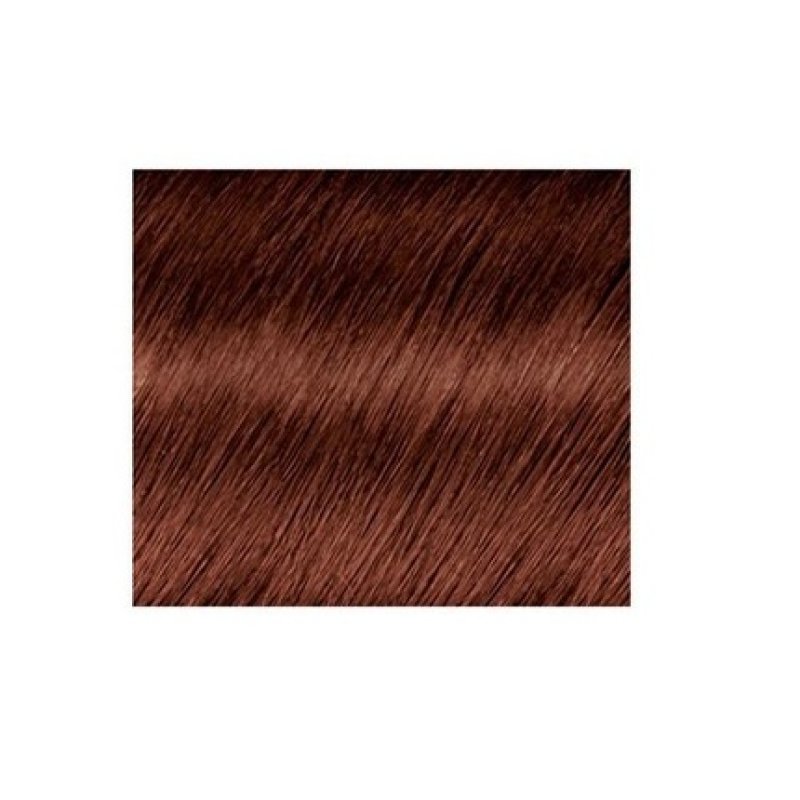 L'Oréal Paris Excellence Hair Color Chestnut Brown Triple Care 5.60 Auburn