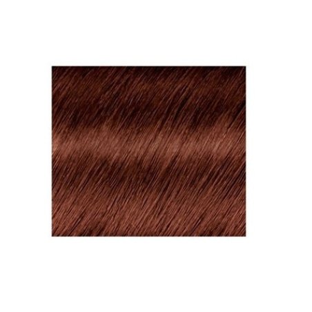 L'Oréal Paris Excellence Hair Color Chestnut Brown Triple Care 5.60 Auburn