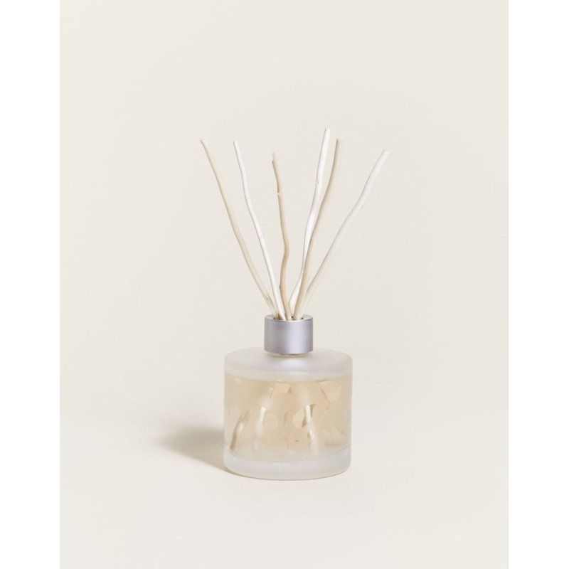 Lampe Berger 006184 diffuseur aromatique Flacon de parfum Verre Transparent