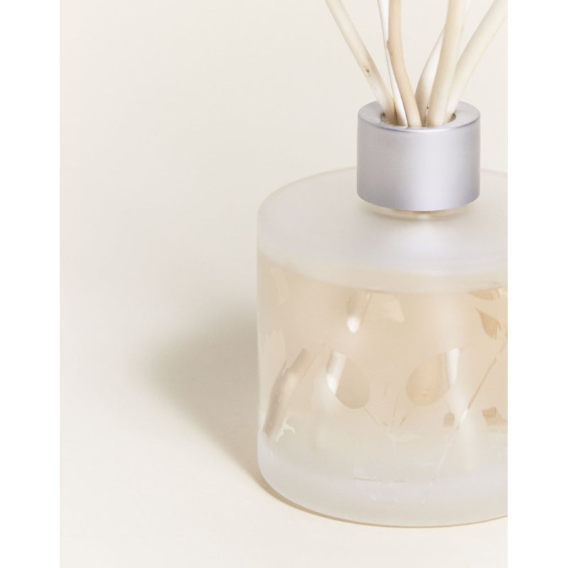 Lampe Berger 006184 aroma diffuser Fragrance bottle Glass Transparent