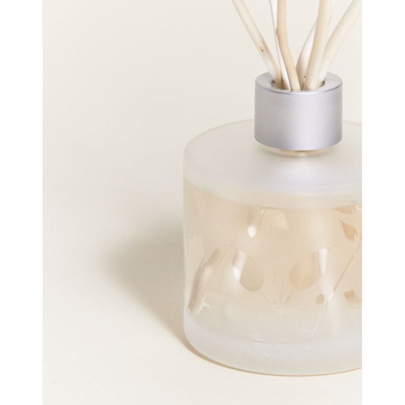 Lampe Berger 006184 diffuseur aromatique Flacon de parfum Verre Transparent